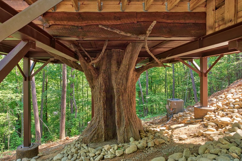 Cabin built on tree view