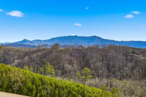 Stunning mountain panorama stretches across the horizon with rolling forested hills creating a peaceful backdrop for this scenic location.