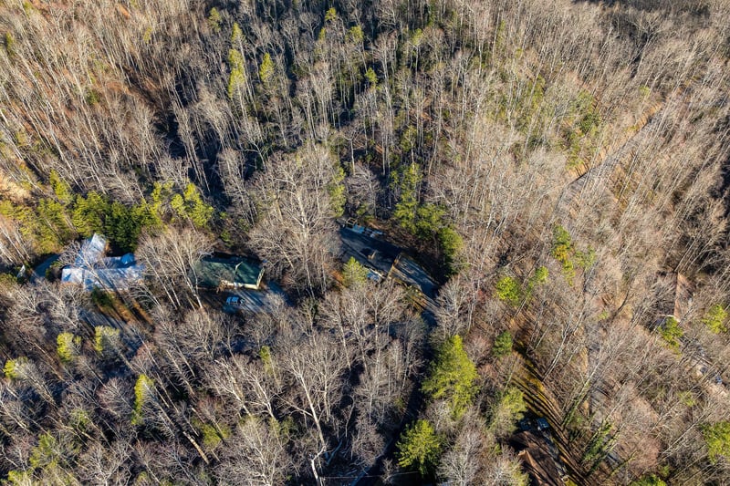 aerial shot