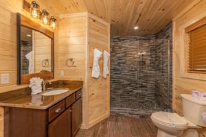 Full bathroom with walk in shower