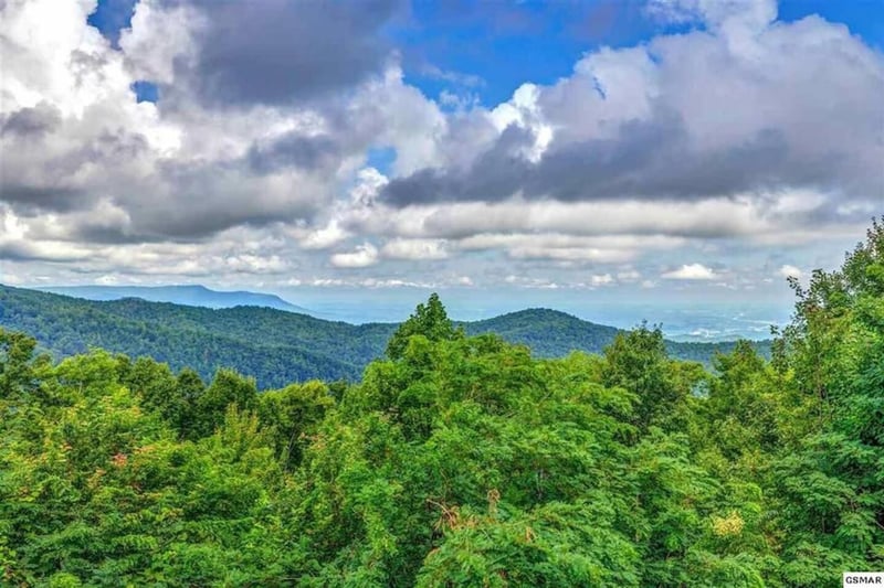 View from Deck