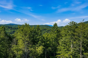 This property is nestled in lush, forested mountains with sweeping views of rolling green ridges under blue skies—perfect for nature lovers seeking tranquility.