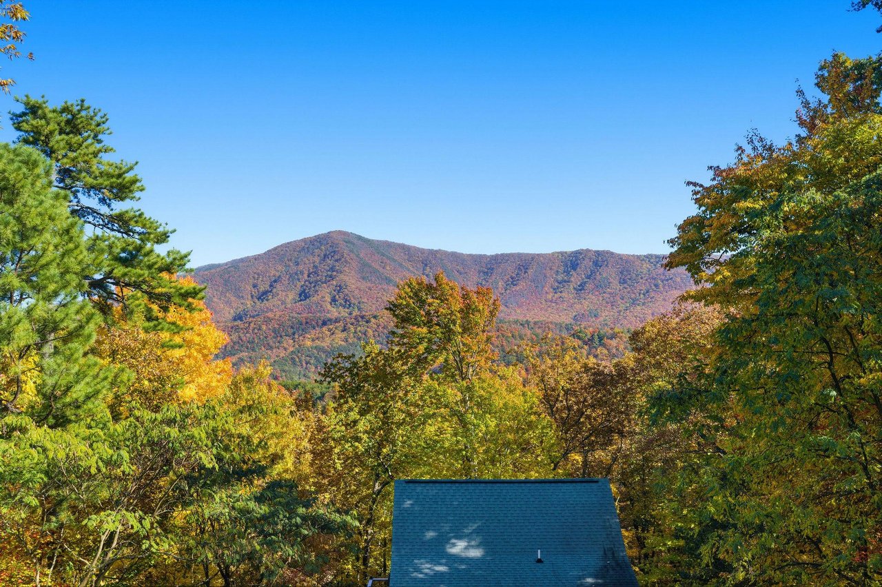bearmontlodge31