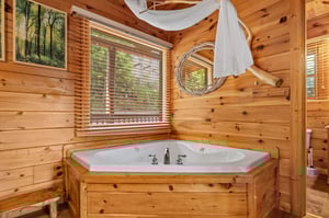 Jacuzzi tub with window