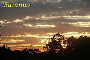 Summer View