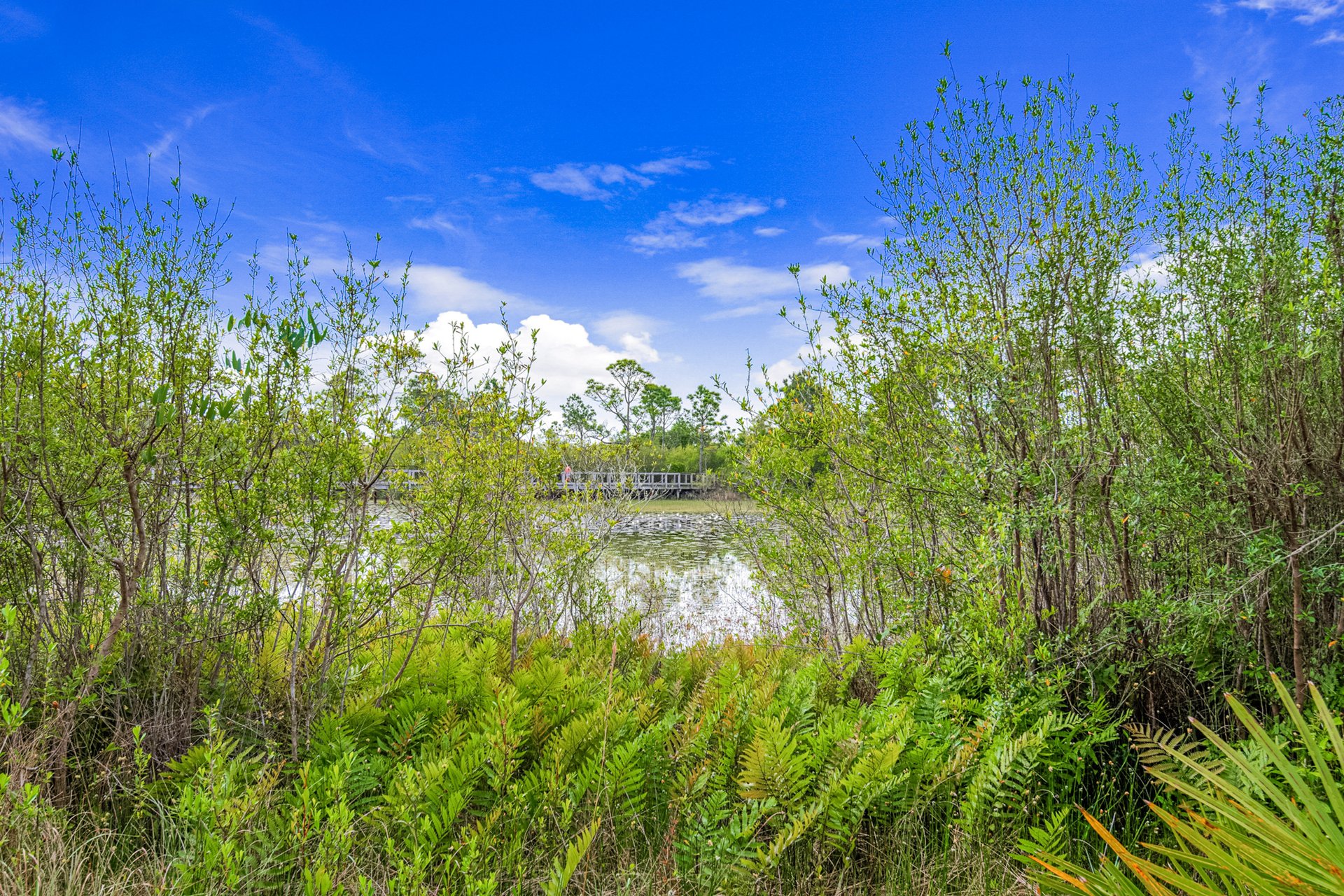 Calypso at Seagrove Beach 24