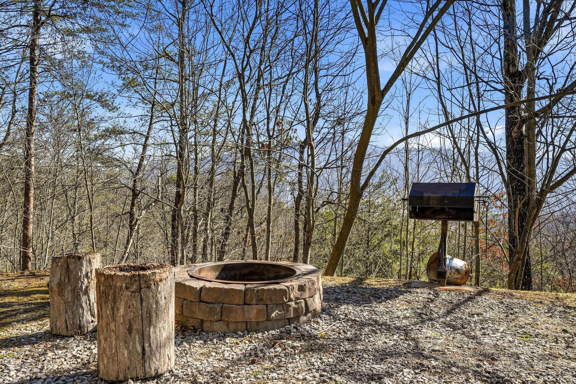 Rustic outdoor fire pit area surrounded by peaceful woodland, perfect for evening gatherings under the stars.
