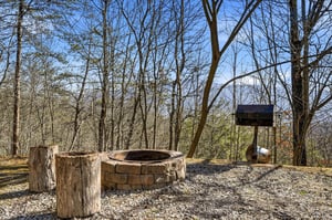 Rustic outdoor fire pit area surrounded by peaceful woodland, perfect for evening gatherings under the stars.