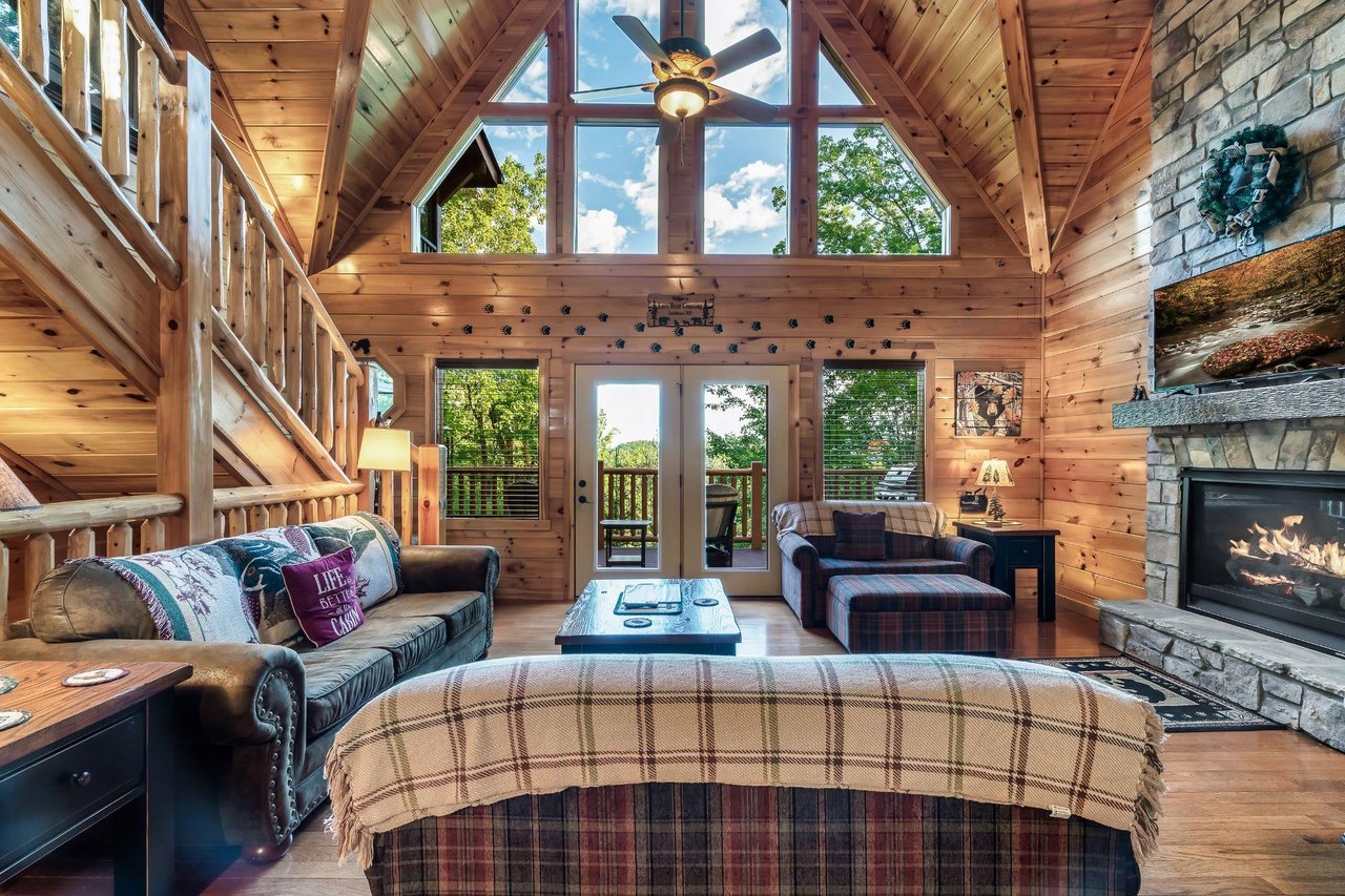 LazyBearCrossing_222703