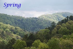 Spring View