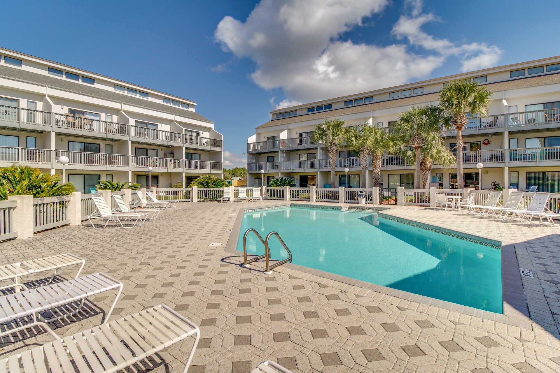 Endless Summer D5 20