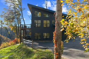 A modern mountain retreat framed by vibrant golden autumn foliage and nestled among tall trees. The striking dark exterior creates a dramatic contrast against the blue sky and colorful fall landscape.