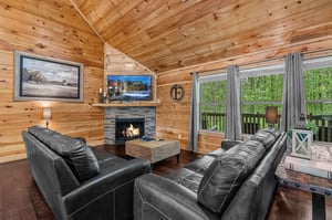 TV Viewing Area