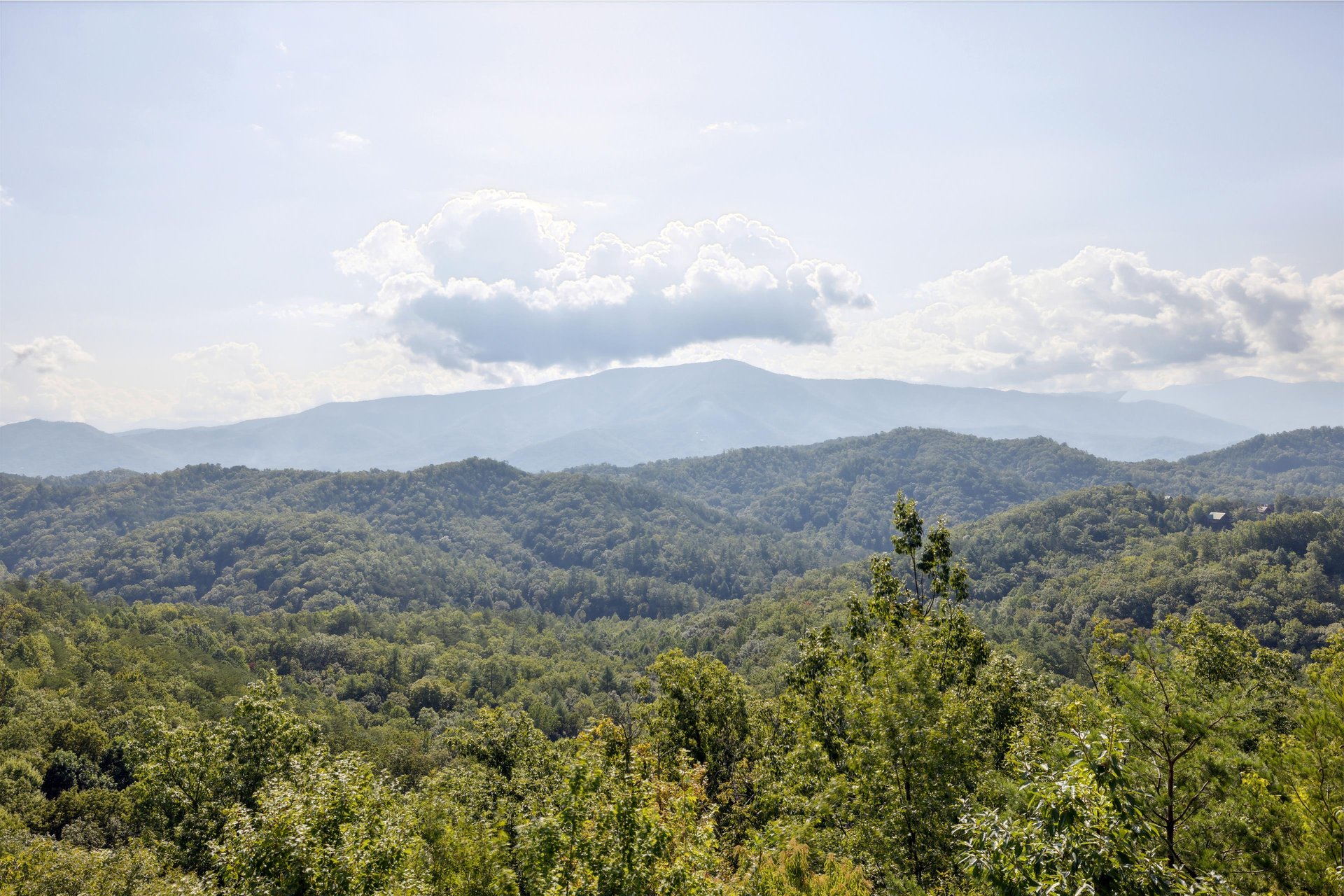 A Million Dollar View