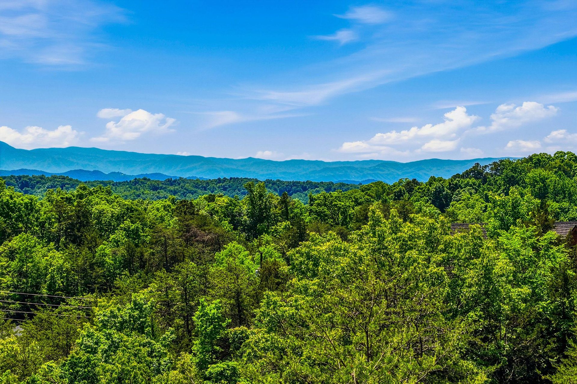 Scenic mountain vista framed by lush forest canopy under bright summer skies, defining the propertys stunning natural surroundings.