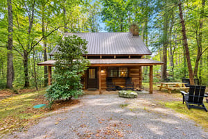 A charming log cabin tucked into lush forest, offering a peaceful escape among towering trees and nature sounds.