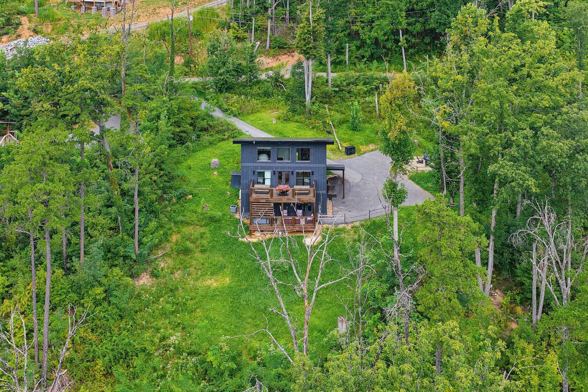 A modern mountain retreat nestled in lush alpine forest, featuring a distinctive green roof that blends seamlessly with the surrounding natural landscape.