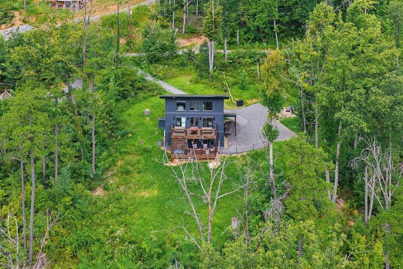 A modern mountain retreat nestled in lush alpine forest, featuring a distinctive green roof that blends seamlessly with the surrounding natural landscape.