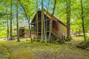 A stunning log cabin retreat nestled among towering trees, featuring natural stone foundation and wraparound deck for peaceful forest living.