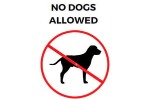 No dogs are allowed at Momma Bear, a 2 bedroom cabin rental located in Pigeon Forge