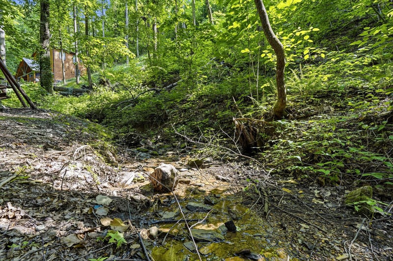 A private forest setting with a gentle stream winding through natural rock formations, offering peaceful woodland surroundings near the property.