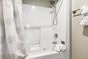 3916179.jpg