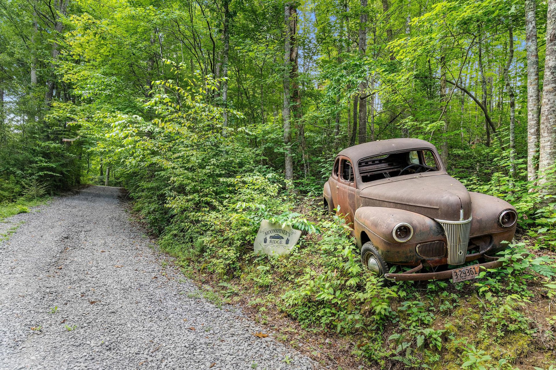 views near Moonshiners Ridge