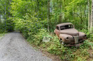 views near Moonshiners Ridge