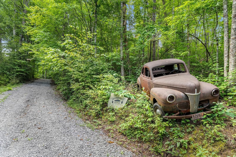 views near Moonshiners Ridge