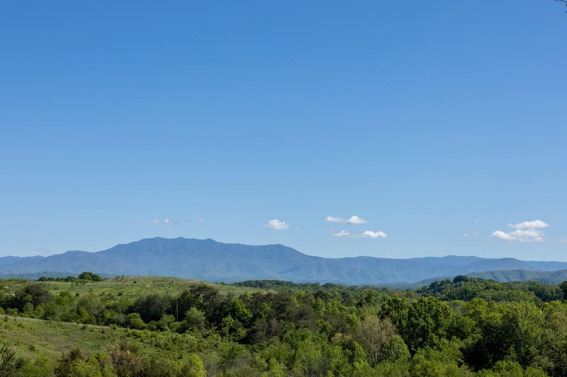 View from Deck
