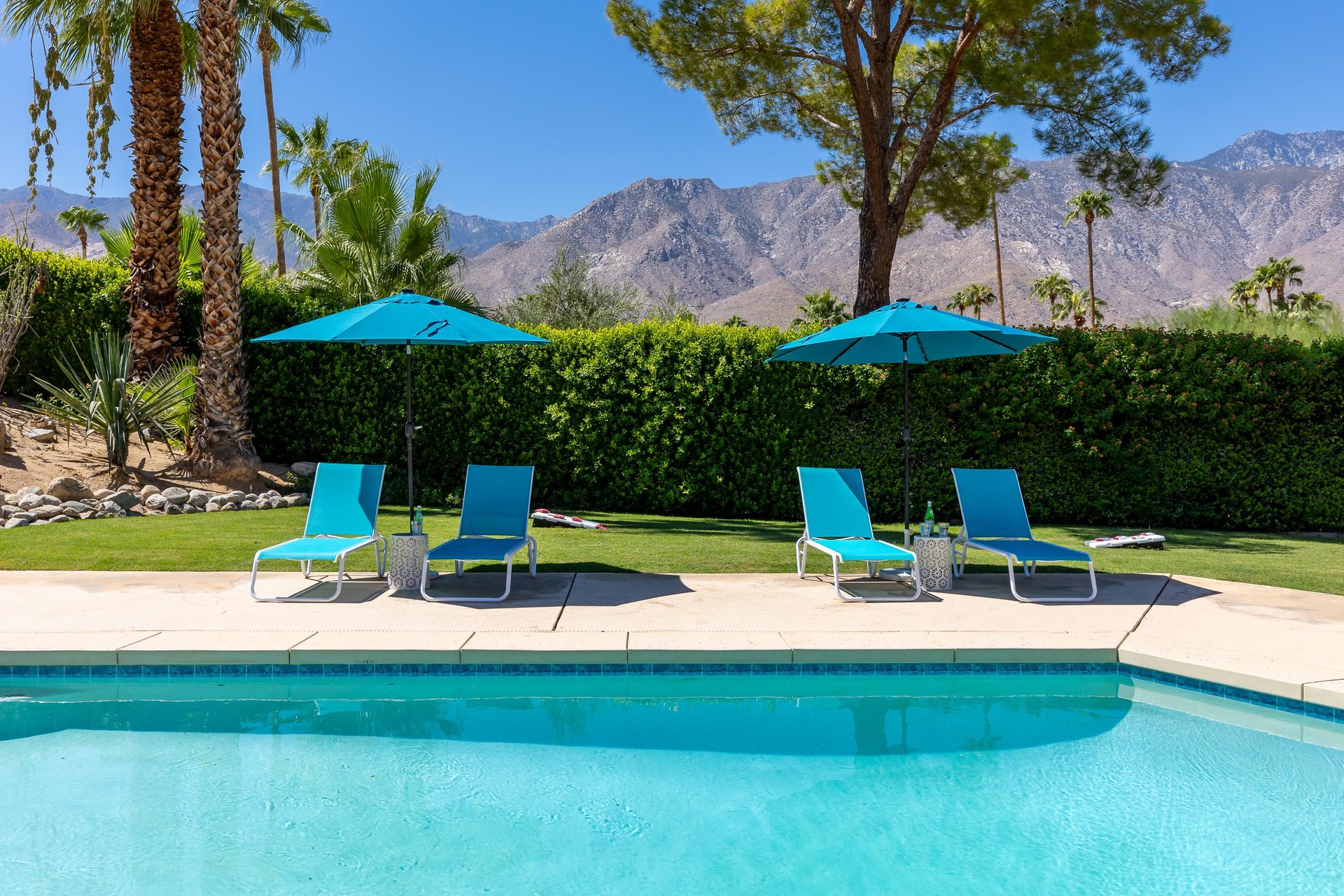 Soak up the sunshine