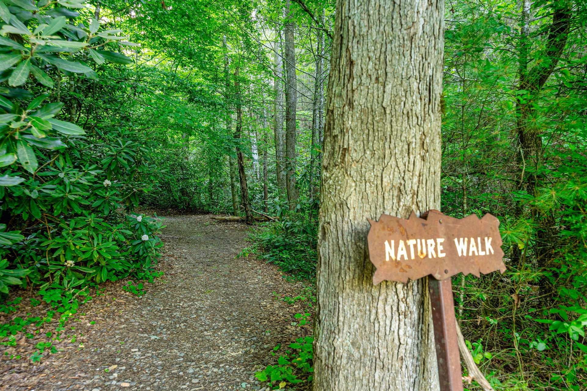 Cedar Fall Resort Trail
