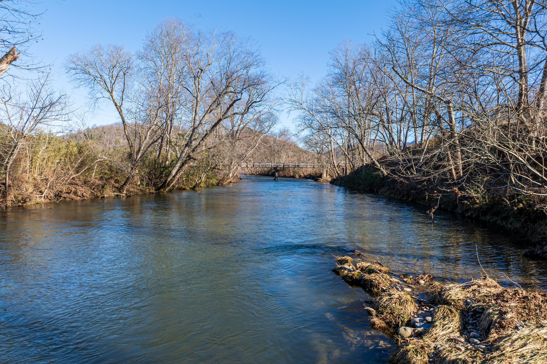 views near Moonshiners Ridge