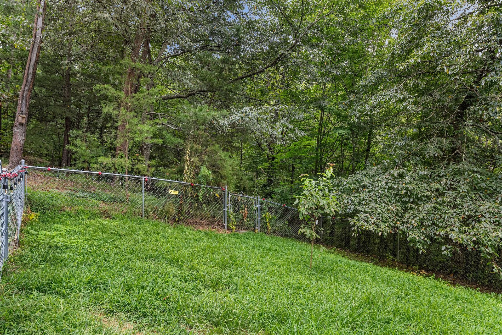 leconteviewlodgeext14