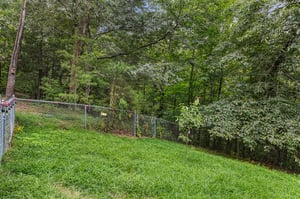 leconteviewlodgeext14