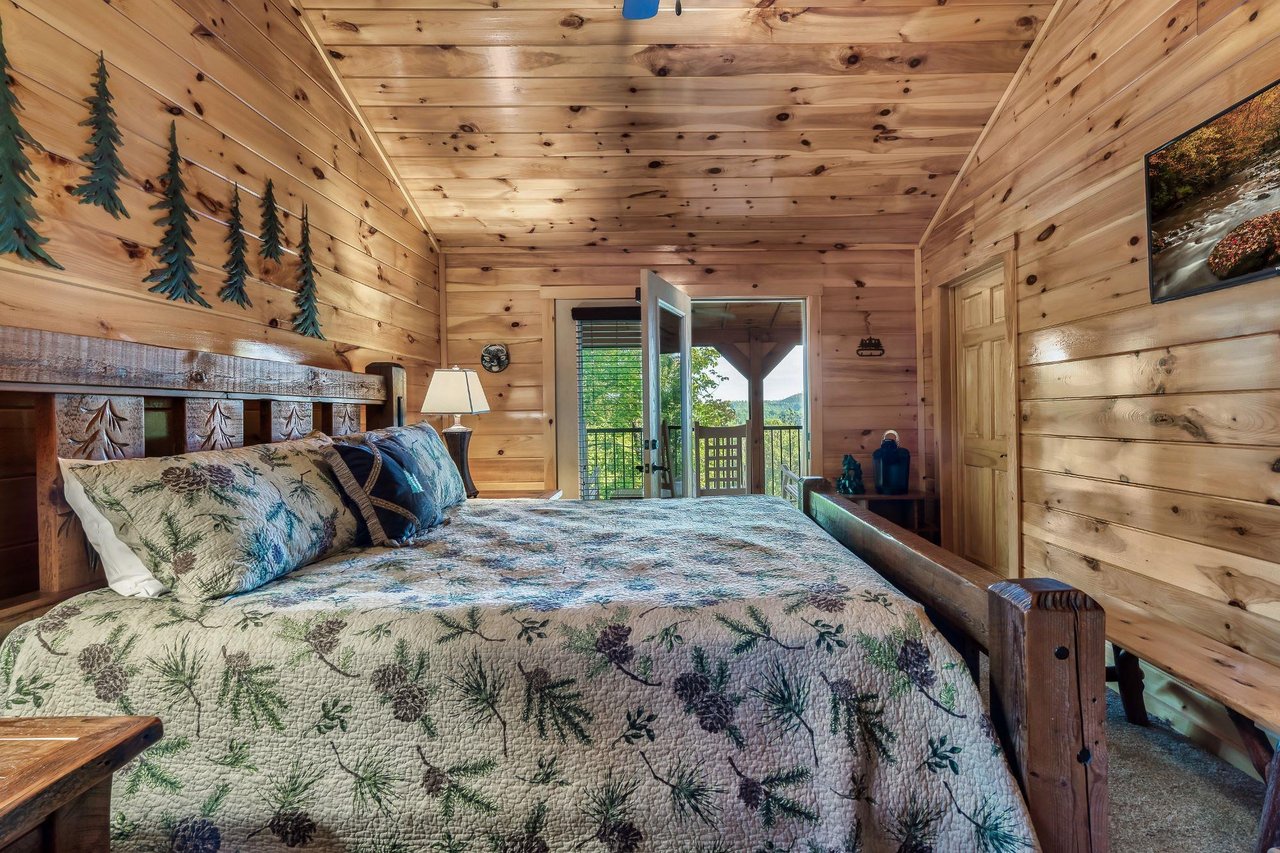 LazyBearCrossing_222726