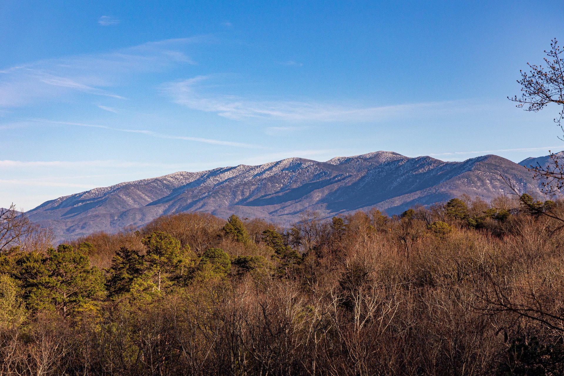 View from Gone to Therapy cabin