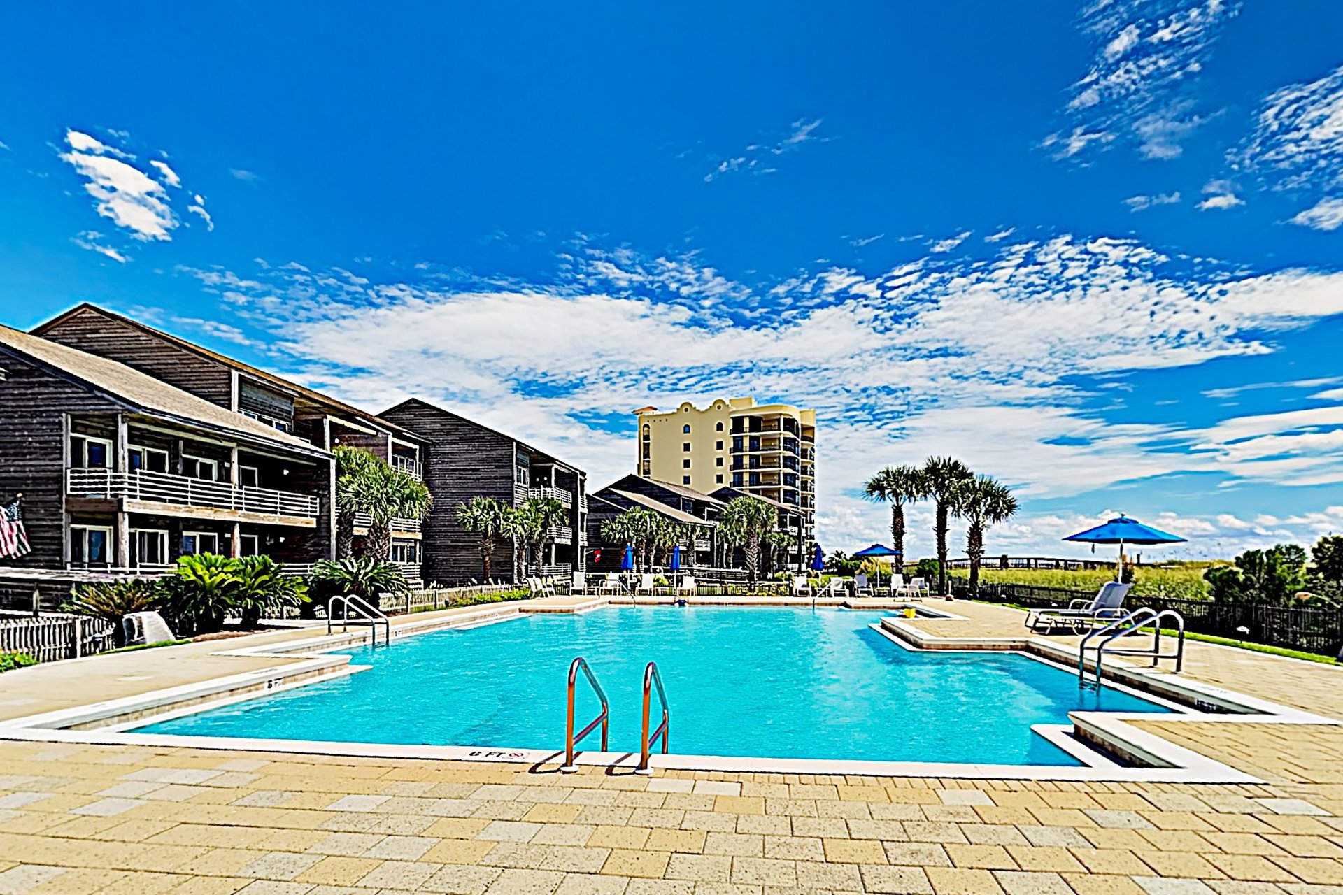 Needle Rush Point A23 18