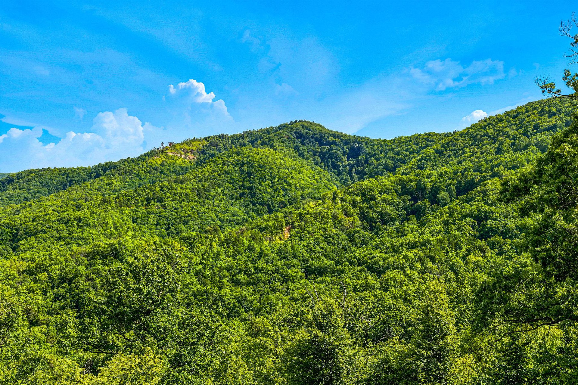 Lush forested mountains surround the property, offering serene natural beauty and peaceful seclusion in a picturesque setting under bright blue skies.