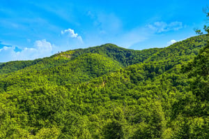Lush forested mountains surround the property, offering serene natural beauty and peaceful seclusion in a picturesque setting under bright blue skies.