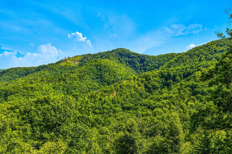 Lush forested mountains surround the property, offering serene natural beauty and peaceful seclusion in a picturesque setting under bright blue skies.