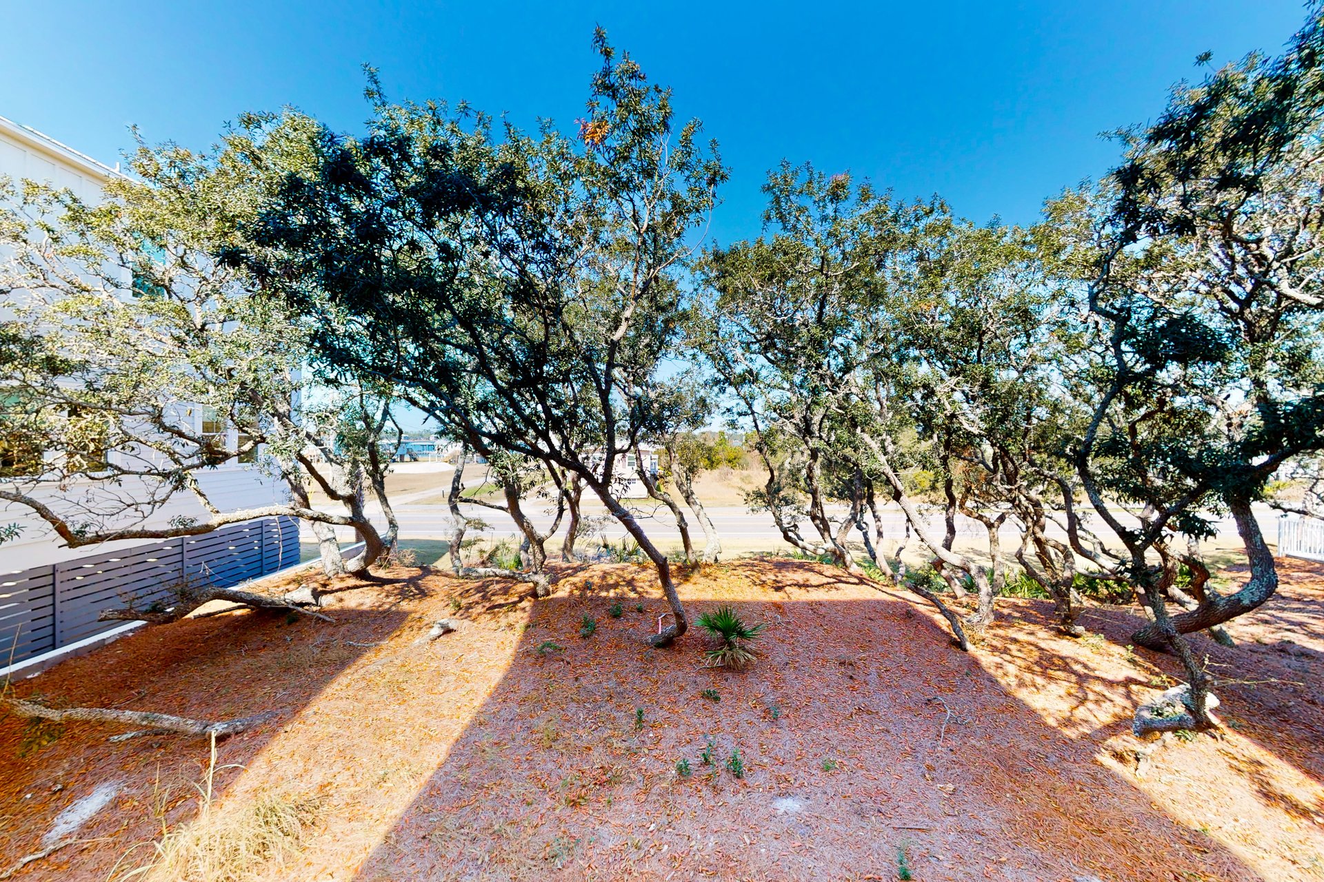 Lost Dunes O For Shore 29