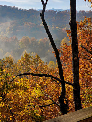 Stunning mountain views and brilliant autumn foliage frame the property, offering a breathtaking natural landscape perfect for a peaceful mountain retreat.