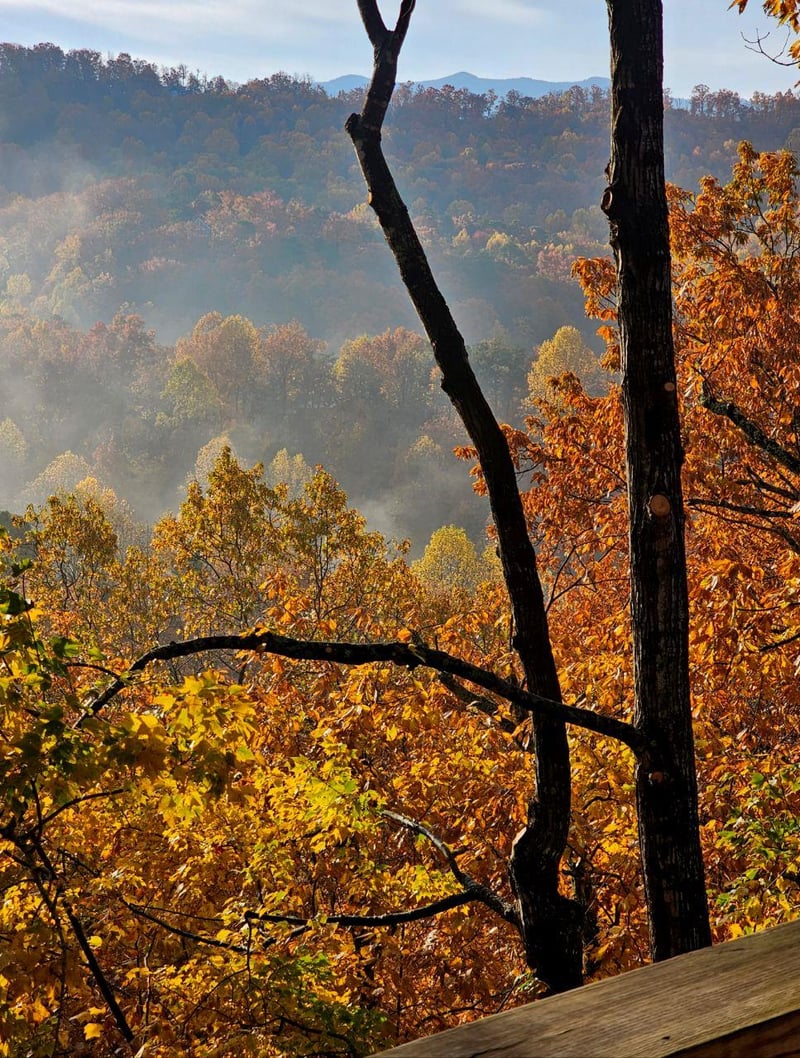 Stunning mountain views and brilliant autumn foliage frame the property, offering a breathtaking natural landscape perfect for a peaceful mountain retreat.