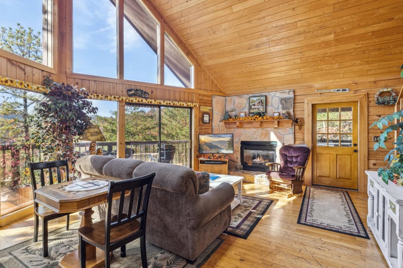 Living Room Fireplace Area