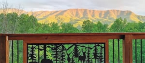 Mountain view from Twin Peaks cabin