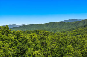 Lush forested mountains surround the property, offering a scenic natural backdrop under clear blue skies.