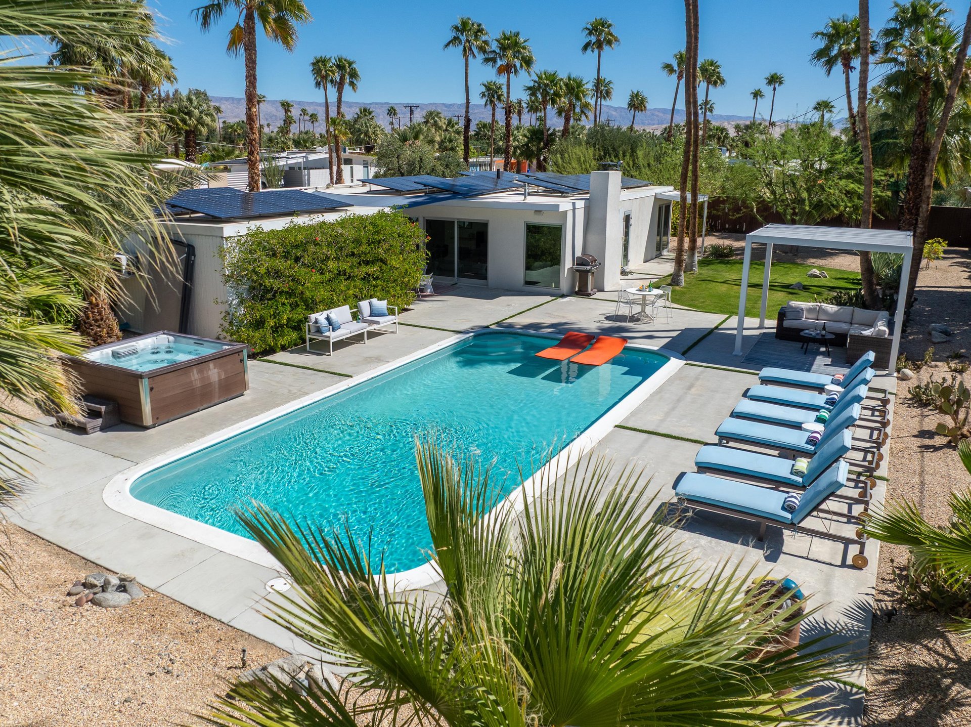 Surrounded by Palm Trees  time to get a tan