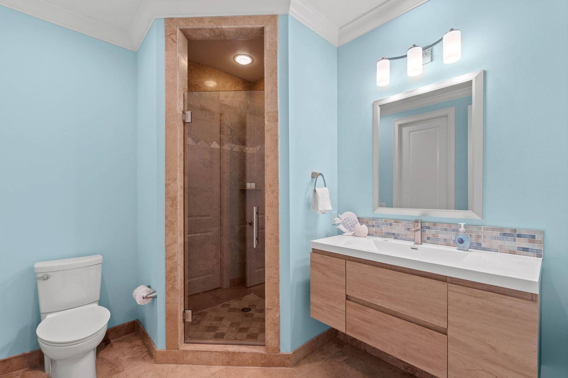 Main Floor Guest Bathroom
