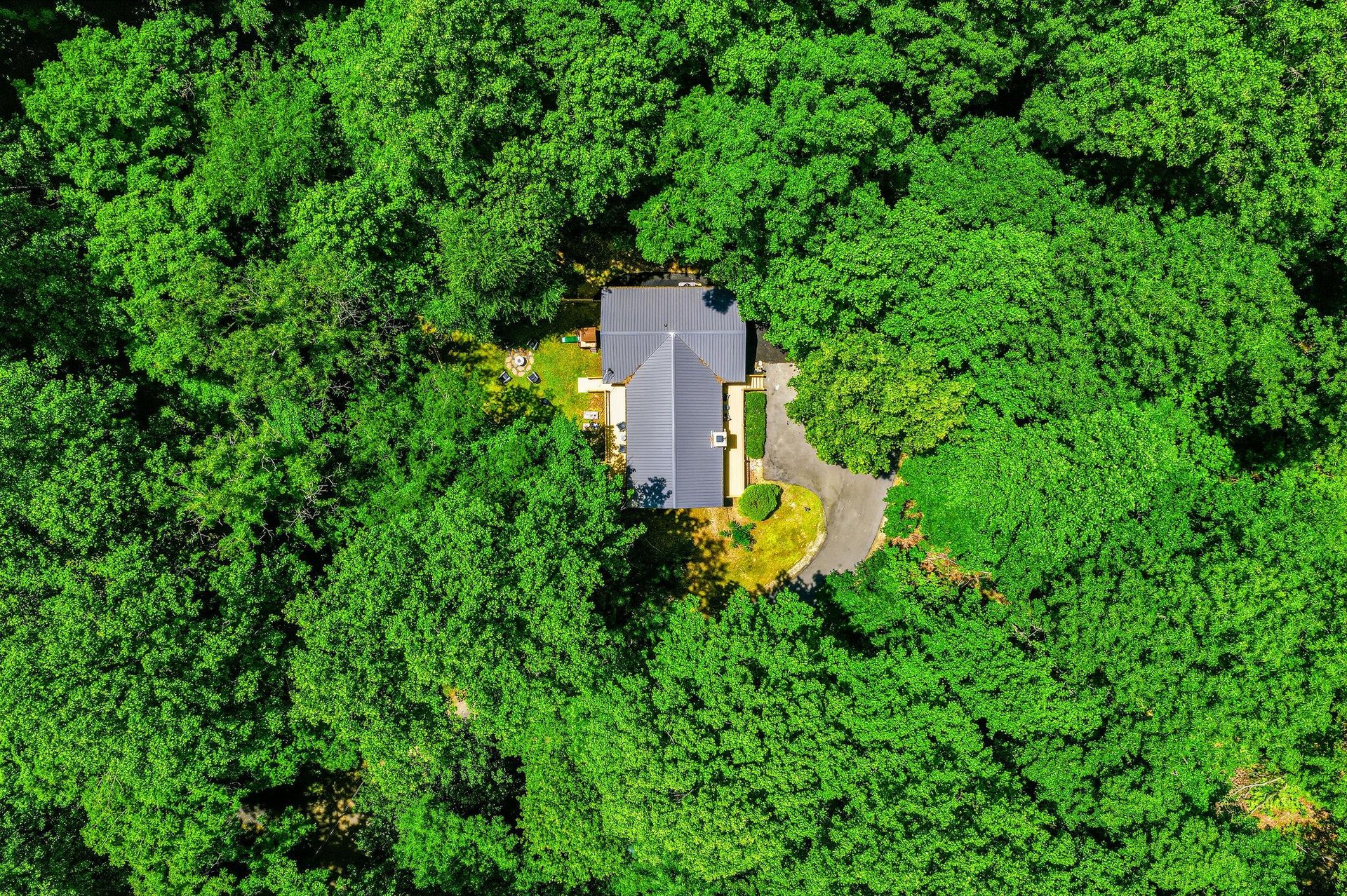 A private retreat surrounded by lush forest canopy and mature trees, offering complete seclusion and natural beauty with winding driveway access to the property entrance.